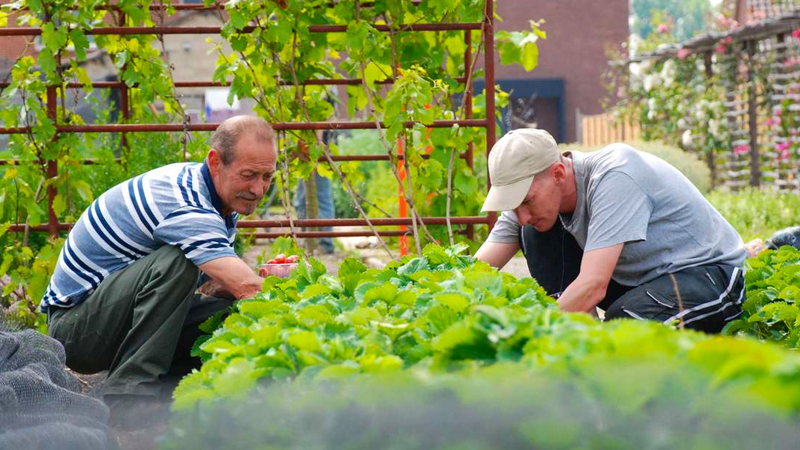 Odoo - Voorbeeld 3 voor drie kolommen