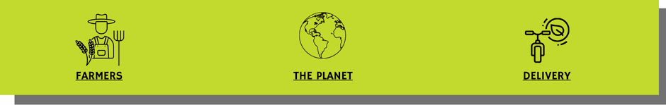 Odoo • Image and Text