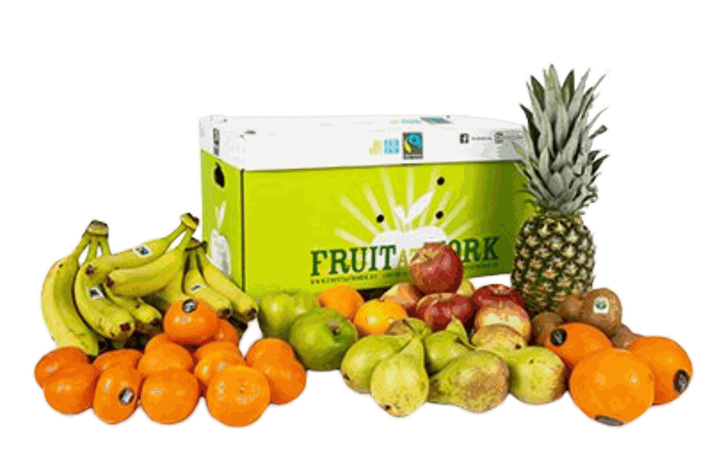 Odoo + afbeelding en tekst