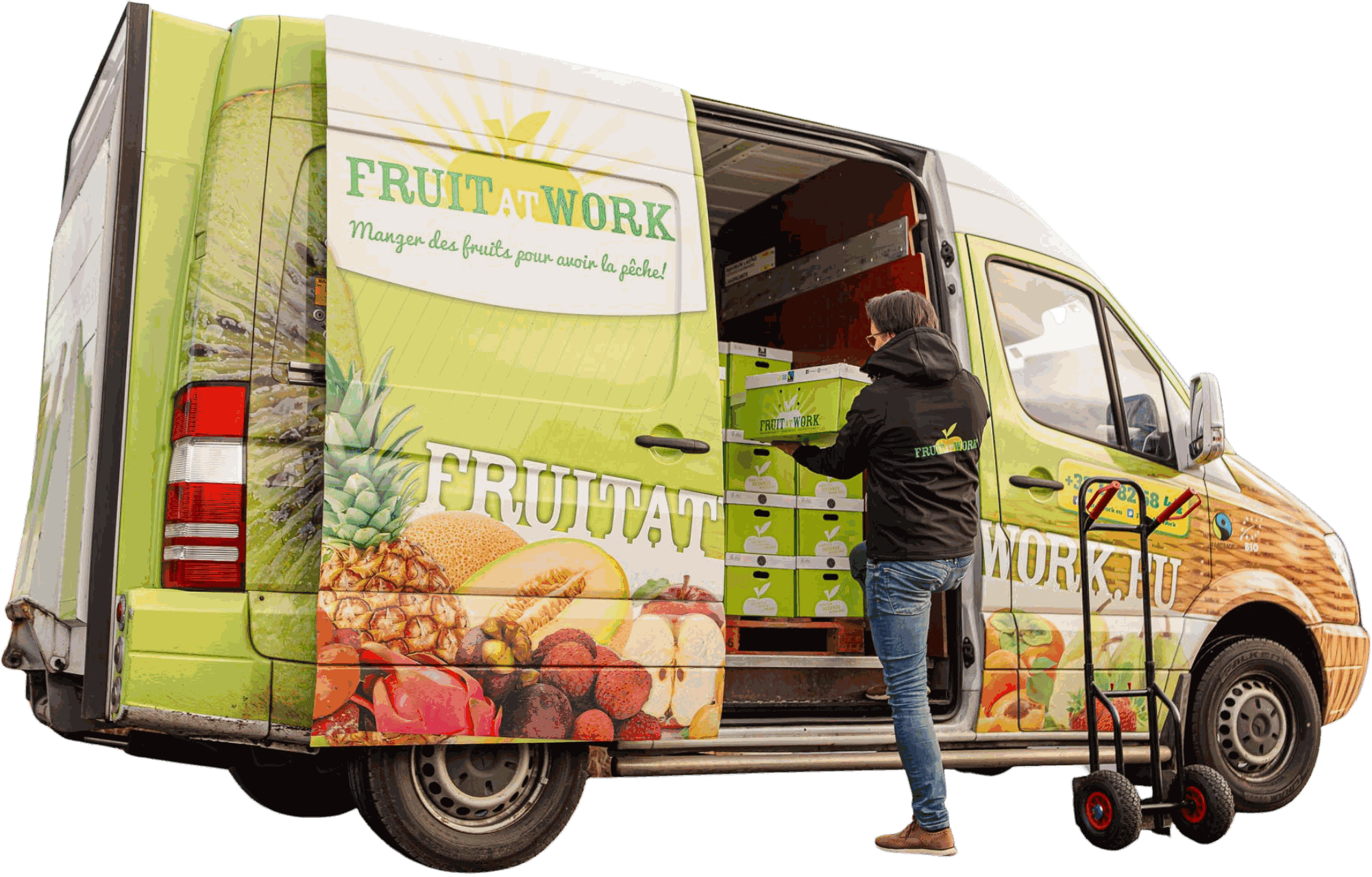 Odoo • Image and Text