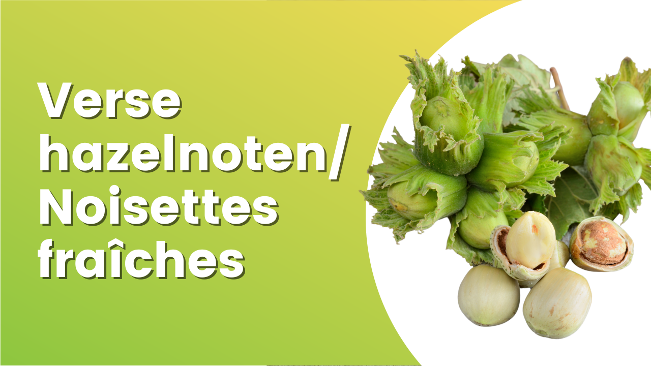 Hazelnoten: Een boost voor de gezondheid op het werk