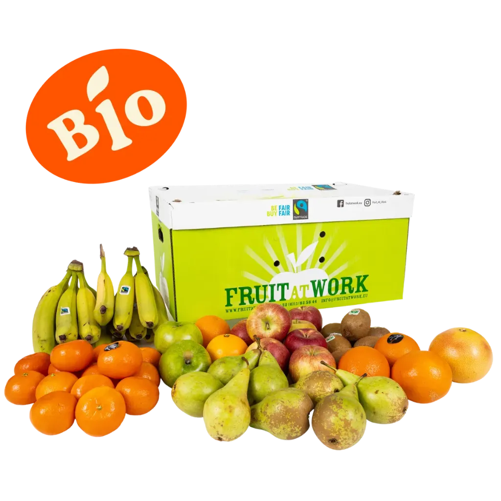 [11500000] Box de fruits - Large Bio
