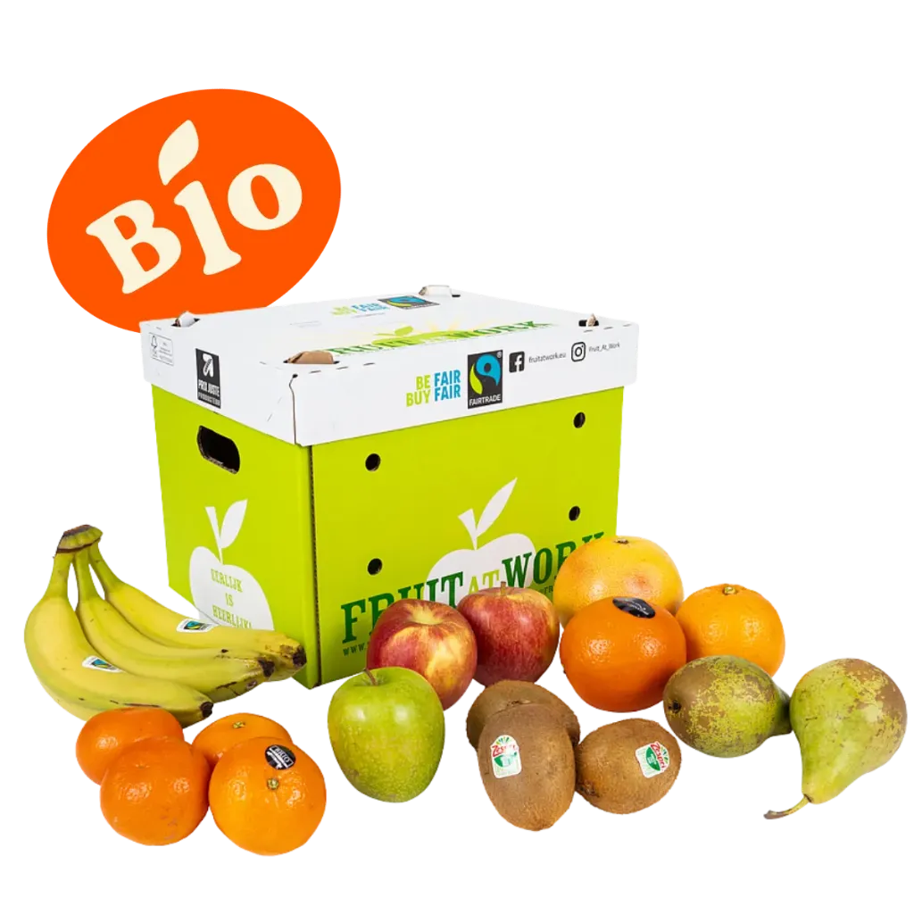 [11200000] Fruitbox - Extra Small Bio
