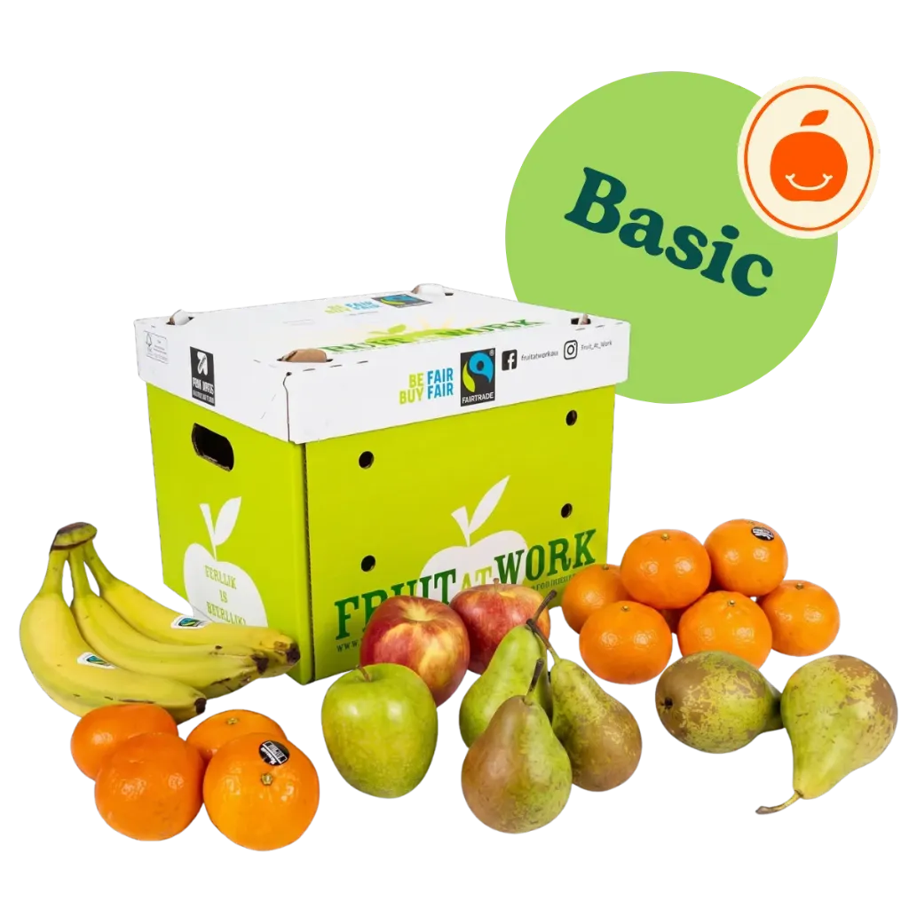 [10220000] Fruitbox - Extra Small Basic